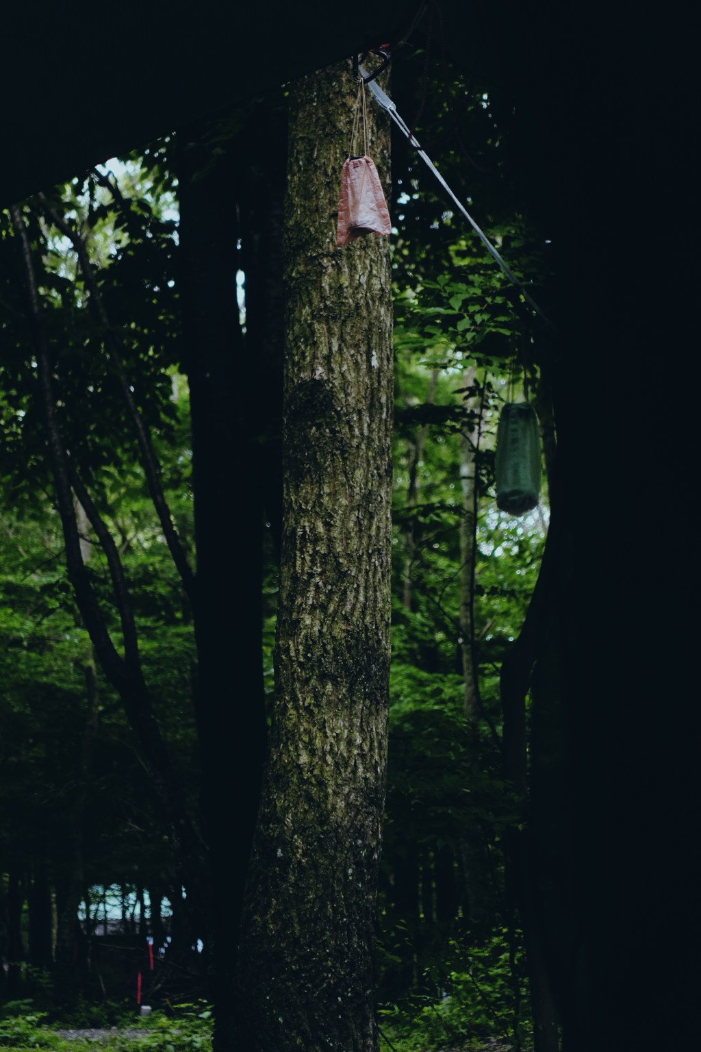 大切な使用上のご注意